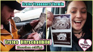 8 Wunschkind oder Zwillinge  1 Ultraschall  Entbindungstermin  Die Großfamilie [upl. by Khai]