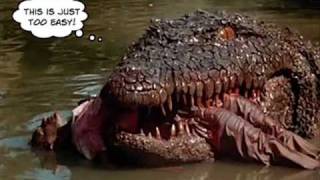 Top 10 Crocodilian Movies [upl. by Linda]