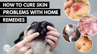 How To treat 5 Skin infection in dogs 🐕 with home remedies [upl. by Suiddaht]