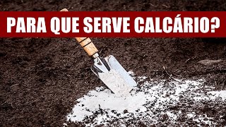 PARA QUE SERVE O CALCÁRIO NAS PLANTAS [upl. by Dorrahs422]