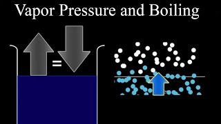 Vapor Pressure and Boiling [upl. by Dreda288]