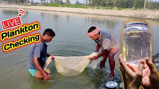 क्या आप पानी में प्लैंकटन देख सकते हैंhow to check plankton in pond zooplankton fishinfo [upl. by Curhan]