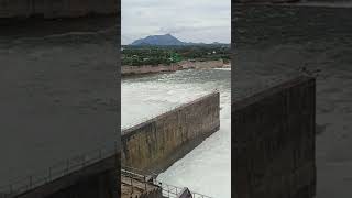 Somasila dam in Nellore [upl. by Aloz]