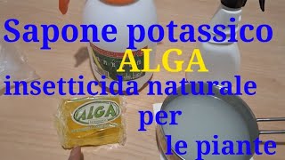 Sapone potassico Algainsetticina naturale per le piante [upl. by Erapsag910]