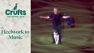 Heelwork To Music Competition Winner  Crufts 2024 [upl. by Redfield]