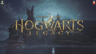 Hogwarts Legacy 78  Completiamo al 100 8 hogwartslegacy hogwarts [upl. by Alix308]