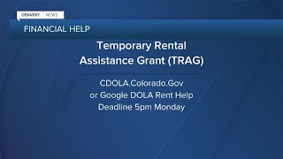 Temporary Rental Assistance programs opens at 10am [upl. by Pendleton]