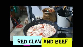 SEAFOOD BOIL YABBY COOKING RECIPES FOR BEGINNERS YABBY COOKING TIME YABBIES RED CLAW AND BEEF [upl. by Ulberto]