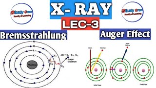 Mechanism of XRays Spectrum। Bremsstrahlung । Auger Effect। BSc Physics।Nuclear Physics nuclear [upl. by Sirahs]