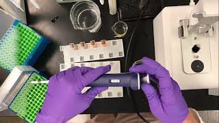 Enzyme Activity Assay for Polyphenol Oxidase PPO [upl. by Dowell]