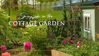 Spring Cottage Garden  Spring Garden Prep  Slow Living Ireland  Cottage Garden Tour [upl. by Mulford]