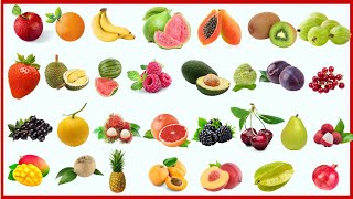 All Fruits Name In English  List Of Fruits Name  Fruits Name Video  Different Fruits [upl. by Aicelf688]