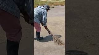 Barriendo el mosco en el Lago de Texcoco🧹 [upl. by Refinnaj]