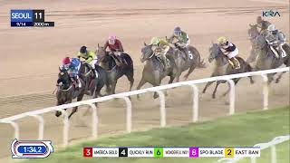 Seoul 20240914 R11 Class 2 2000M Handicap [upl. by Krik]