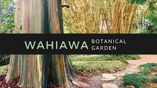 The Wahiawa Botanical Garden [upl. by Idham331]