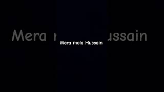 Mera imam Hussain yahussainyahussain azadarehussain nadeemsarwarnoha nadeemsarwar [upl. by Krongold]