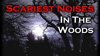 Top 5 Scariest Noises In The Woods [upl. by Werner]