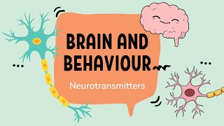 Neurotransmitters Classification Types and Functions [upl. by Kuska]