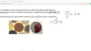 Ejercicio aplicación de cálculo integral crecimiento microbiano [upl. by Halverson69]