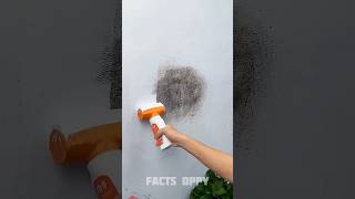 clean the wall fast 🤯三 New Viral Gadgets Smart Appliances Kitchen UtensilsHome Inventions shorts [upl. by Leffert]