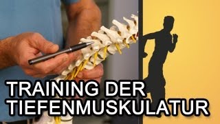 Training der Tiefenmuskulatur für einen starken Rücken [upl. by Etnaud]