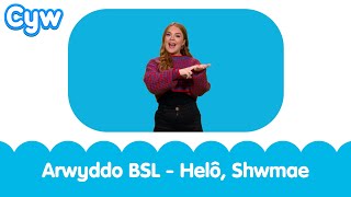 Arwyddo BSL  Helo Shwmae  BSL Signed Kids Song  Hello How are you Welsh Cymraeg [upl. by Mintz318]