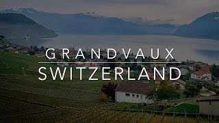 Grandvaux Vineyards  Lavaux Oron Switzerland [upl. by Derfnam]