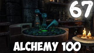 Skyrim Playthrough Part 67  Alchemy 100 [upl. by Anyak]