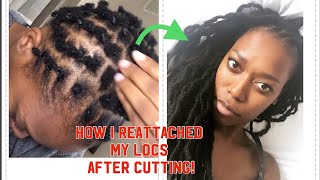 HOW I REATTACHED MY NATURAL LOCS  NO GLUE NO SEWING NO BRAIDING [upl. by Roseanna]