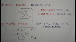 Diffusion in biological systems  passive diffusion and facilitated diffusion  diffusion [upl. by Akitnahs]