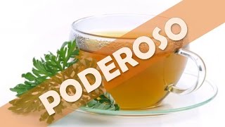 ☞ Té de ajenjo beneficios y propiedades de esta bebida para la salud [upl. by Odelle]