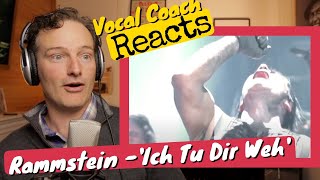 Vocal Coach REACTS  Rammstein Ich Tu Dir Weh LIVE [upl. by Brandt]