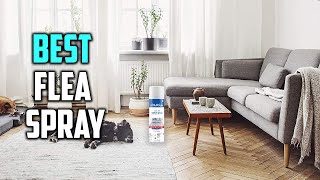 Top 5 Best Flea Spray Review in 2023  Tick Home Spray for Cats amp Dog [upl. by Thera]