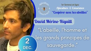 Sommet Apiculture Et Conscience 2023  David Mérino Rigaill  Permaterra [upl. by Yokoyama]