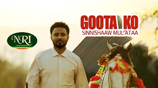 Sinishaw Muleta Goota koo New Oromo music lyric video [upl. by Gorga]