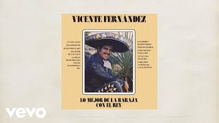 Vicente Fernández  Las Mañanitas Letra  Lyrics [upl. by Ardeha]