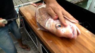 How to fillet a fish easily [upl. by Paxon626]