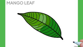 How to draw a MANGO LEAF easy  drawing mango leaves step by step [upl. by Heriberto]