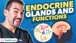 Endocrine Glands amp Functions  Parathyroidism Nursing  Made Easy NCLEX [upl. by Aratas]