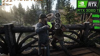 RTX 3080 Ti  Red Dead Redemption 2 [upl. by Raynold]