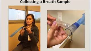 Your Lactose Fructose or Glucose Breath Test Experience [upl. by Nahsed740]