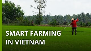 Vietnamese farmers trying hightech solutions to grow rice with less water [upl. by Yelrahc]