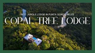 Best Luxury AllInclusive Jungle Resort in Belize  Copal Tree Lodge  EcoLodge [upl. by Emilie]