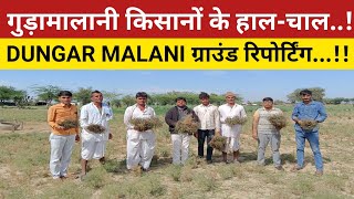 breaking news gudamalani गुड़ामालानी खराब फसलों की ग्राउंड रिपोर्टिंग किसानों ने बताया अपना दुख [upl. by Gnanmas]