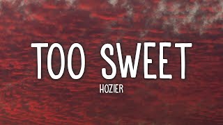 Hozier  Too Sweet Lyrics [upl. by Eiresed]