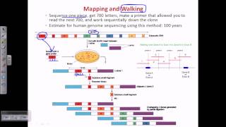 Genome sequencing [upl. by Nerrat629]