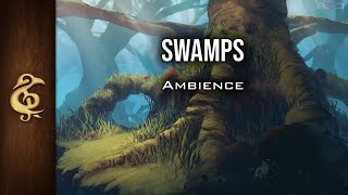 Swamps  Nature Ambience  1 Hour dnd [upl. by Astrix]