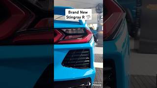 First Look at The New Stingray R  🤯 chevy shorts trending follow cars hiphop [upl. by Slayton]