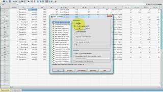 SPSS VideoSeminar  Teil 15 Datenexploration  Sortieren Splitten [upl. by Nyrmac]