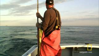 Wicked Tuna  Biggest Fish of the Year [upl. by Towny]